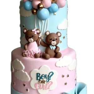 Prince or Princess Cake