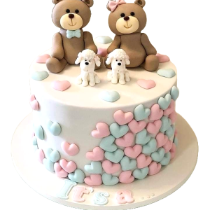 Teddy Lovely Surprise Cake