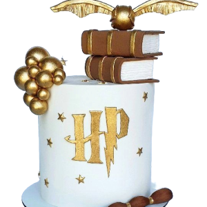 Harry Potter Books Cake