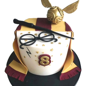 Harry Potter Specs Cake