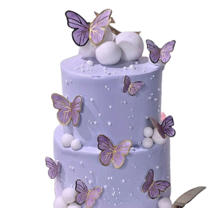 Butterfly Garden Cake