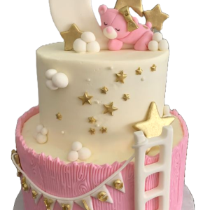 Baby Puppy on the Moon Cake