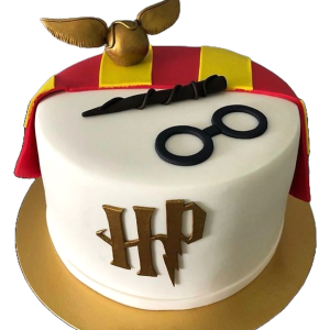 The enchanted Castle Harry Potter Cake