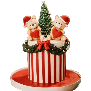 Christmas Teddy Cake