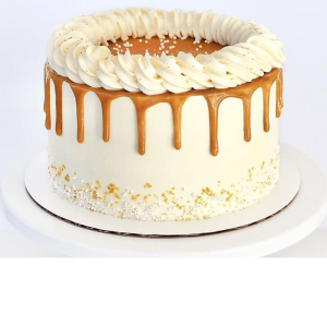 Cheese Cake