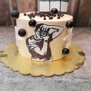 Cake for Photographer