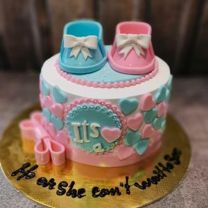 He or She Cake