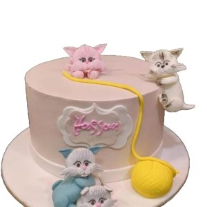 Cat lover cake