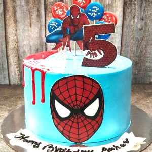 Spiderman Web cake