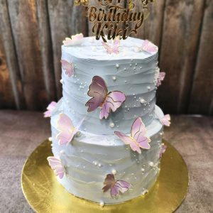 Butterfly dreamland cake