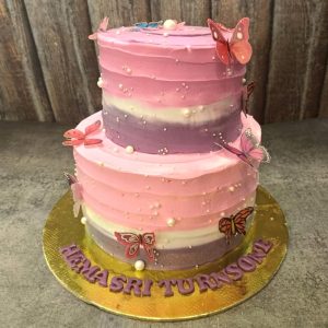 Butterfly ballet cake