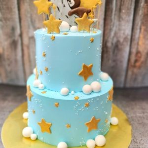Moon & star enchantment cake