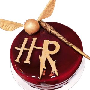 Wizarding World Harry Potter Cake
