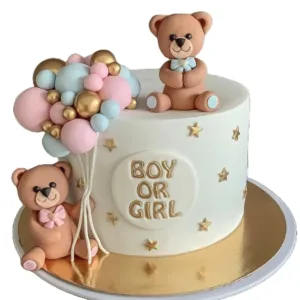 Sweet Expectation Baby shower Cake