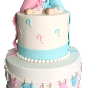 Cutesy Twins Cake