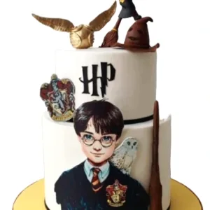 Harry Potter ornament Cake