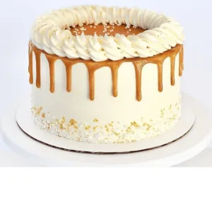 Cheese Cake