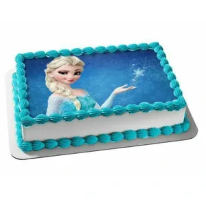 Frozen photo Print Cake